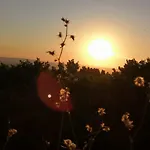 Apartman La Casa Sui Tetti *